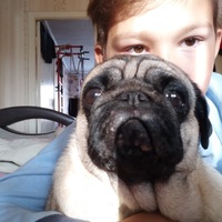 Рома Кряжевских