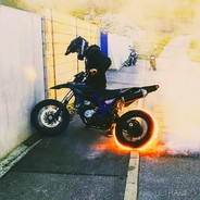 подорожник Алёша