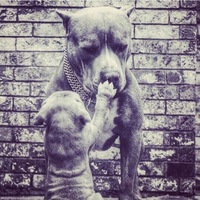 Шурик Ташпулатов