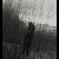 Денис Трушников