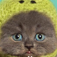 Шиша Матохин