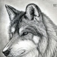 Дима Старостин