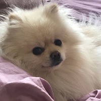 Филипп Шарафутдинов