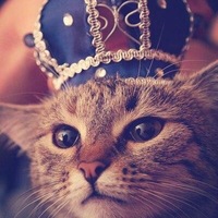 Эльдар Урумов