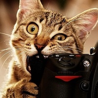 Иван Антипов(1)