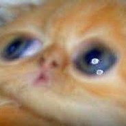 MYCSGO.ME KoTe_B_KoNtRe