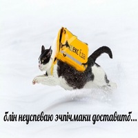 Данила Галичкин