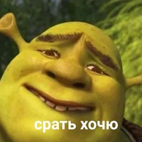 Рома Плёкин