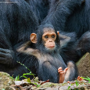 Мам, я Бандит