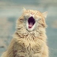 Антон Иванов(1)