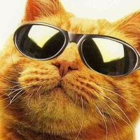 Андрей Сергеев