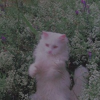 Кирилл Захаров