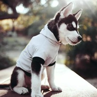 Кирилл Власов