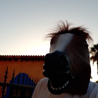 Аркадий Паровозов