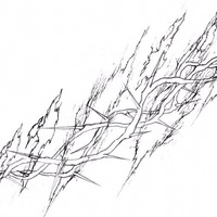 Роман Макаров