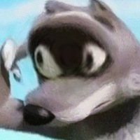 Дамир Кауфман