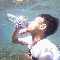 Коля Анисов