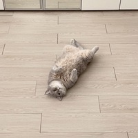 Ростислав Петров