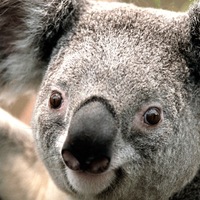 Данил Смирнов