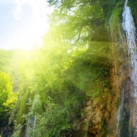 Даниил Цвык