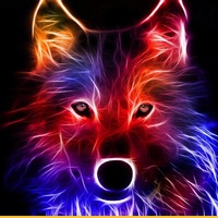 Вова Кольцов