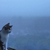 Иван Сахнов