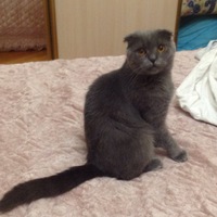 Денис Иванов