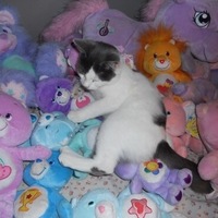 Артем Власкин