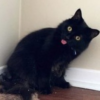 Данил Ерохин(1)