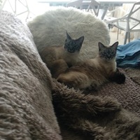 Виктор Фёдоров