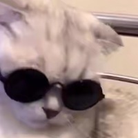 Андрей Краснояров