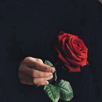 Антон Козлов