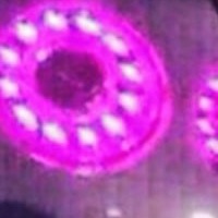 Никитка Илларионов