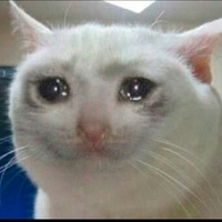 Владимир Белоусов