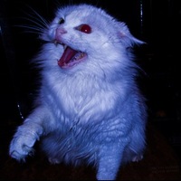 Саша Полаев