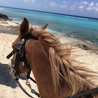 Никита Сударев