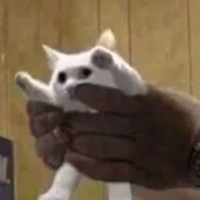 Вова Костылев