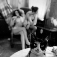 Артур Акимов