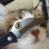 Данила Скулов