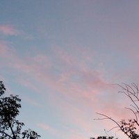 Макс Соколов