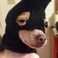 Кирилл Киршин