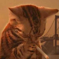 Трошков Александр