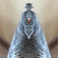 Кирилл Блок