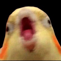 Сергей Борисихин