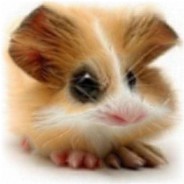 мыльный пиг