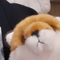 Валерий Ставцев