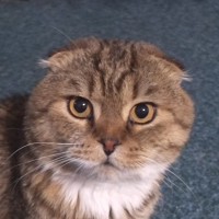 Алексей Нусс