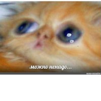 Камиль Нагимов