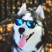 Сергей Чипизубов