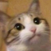 Андрей Пискунов